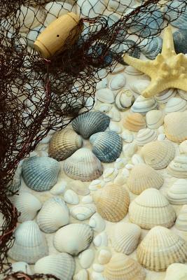 Download Sea Shells and a Starfish Journal: Take Notes, Write Down Memories in This 150 Page Lined Journal -  | PDF