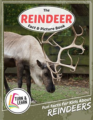 Download The Reindeer Fact and Picture Book: Fun Facts for Kids About Reindeer (Turn and Learn) - Gina McIntyre | ePub