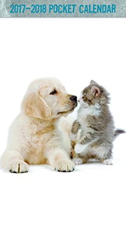 Download Trends International 2017 Two Year Pocket Planner, August 2016 - December 2018, 6.5 x 3.5, Buddies -  file in ePub