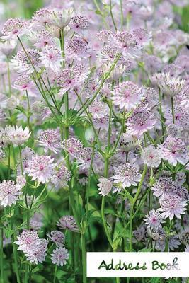 Download Address Book.: (Flower Edition Vol. 132) Glossy and Soft Cover, Large Print, Font, 6 X 9 for Contacts, Addresses, Phone Numbers, Emails, Birthday and More. -  file in PDF