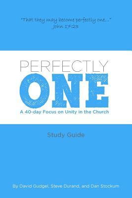 Read Perfectly One: A 40-Day Focus on Unity in the Church - David Gudgel file in ePub