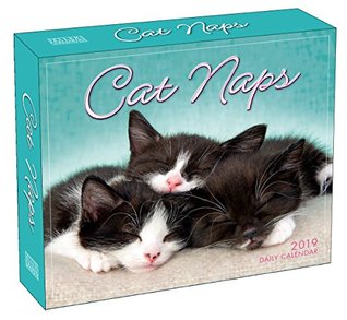 Read Online 2019 Cat Naps Boxed Daily Calendar: By Sellers Publishing - Sellers Publishing Inc | ePub