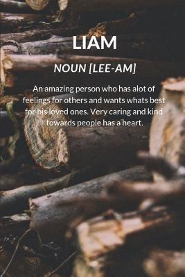 Read Online Liam Noun [lee-Am]: A5 Notebook Funny Journal for Liams - Katech Journal Publishers file in ePub