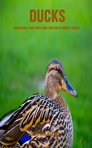 Read Ducks: Incredible Pictures and Fun Facts about Ducks - Lueretha Atkins file in ePub