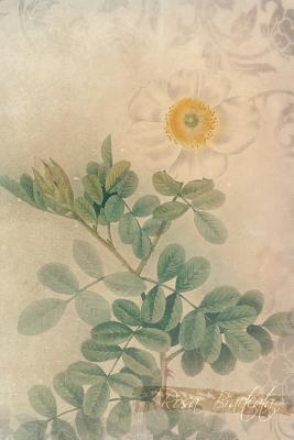 Download Rosa Bracteata: Floral Notebook with Flower Illustrations on Every Page - Coming Up Roses file in PDF