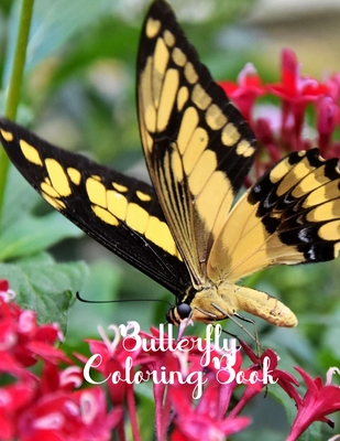 Full Download Butterfly Coloring Book: Butterfly Lover Gifts for Toddlers, Kids Ages 2-4, 4-8, Girls Ages 8-12 or Adult Relaxation Cute Stress Relief Animal Birthday Coloring Book Made in USA - Shayne Coloring Book file in PDF