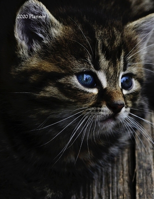 Full Download 2020 Planner: Cat 2020 Organizer; Monthly and Weekly 2020 Planner Journal - Nifty 2020 Planners & Organizers file in PDF